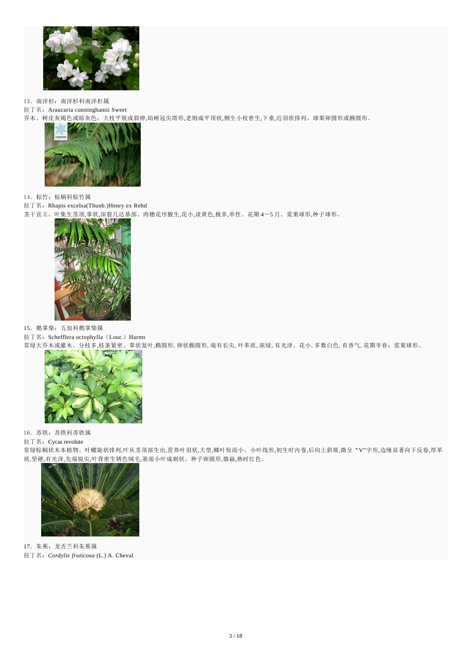 常见植物分类[共22页]_第3页