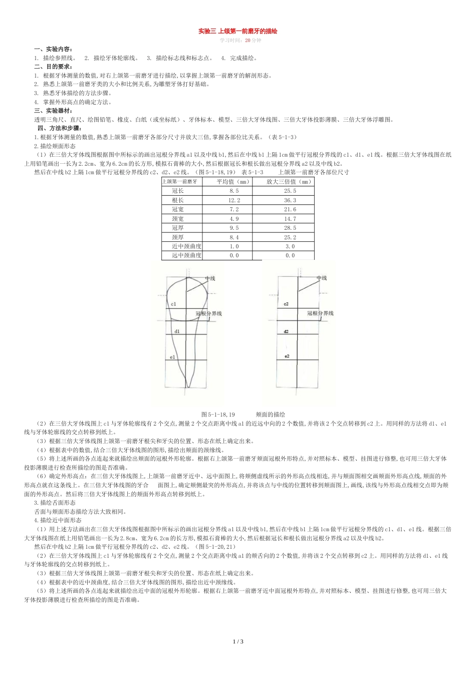 实验3.上颌第一前磨牙的描绘[共4页]_第1页