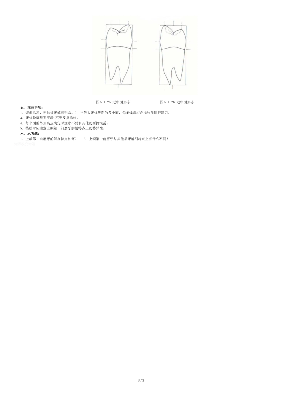 实验3.上颌第一前磨牙的描绘[共4页]_第3页