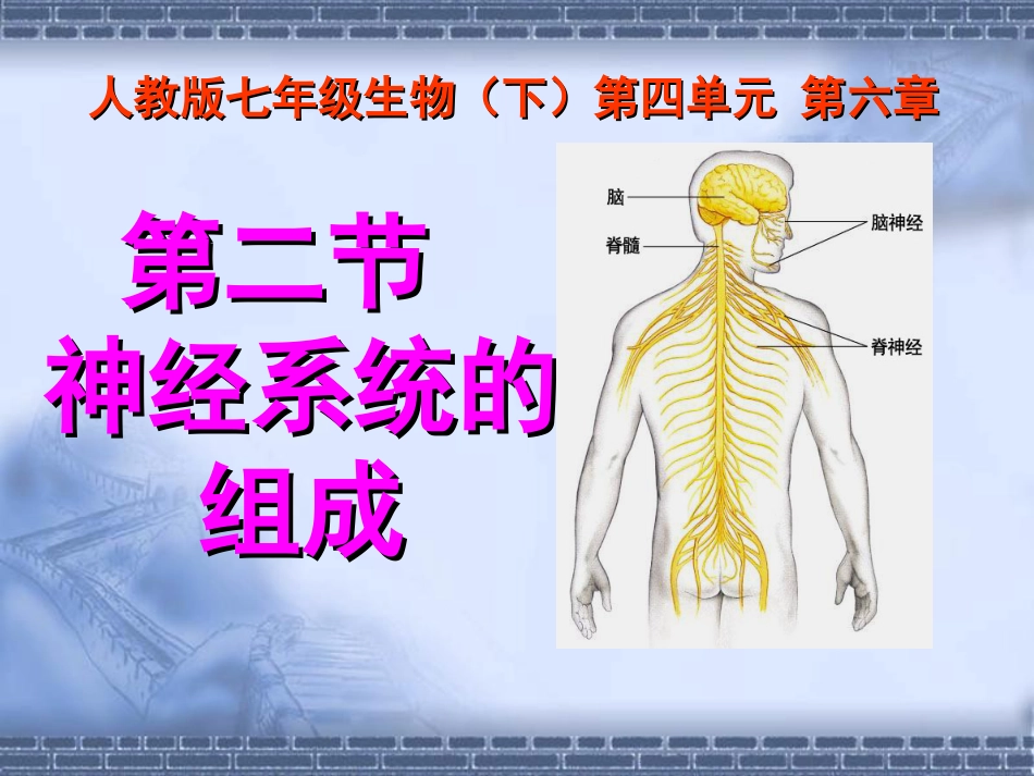 神经系统的组成ppt[共33页]_第1页