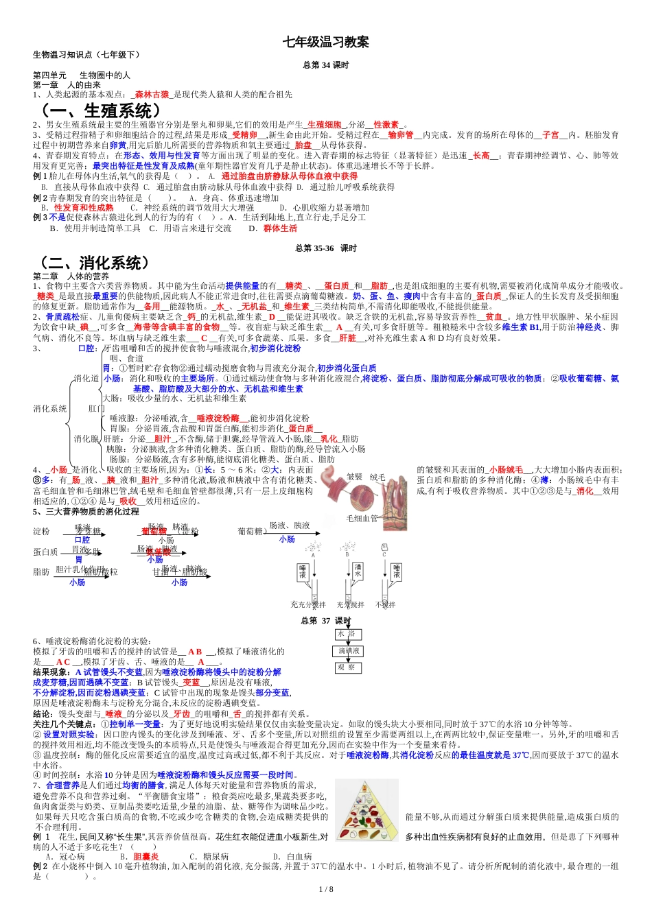 生物七年级下复习教案[共9页]_第1页