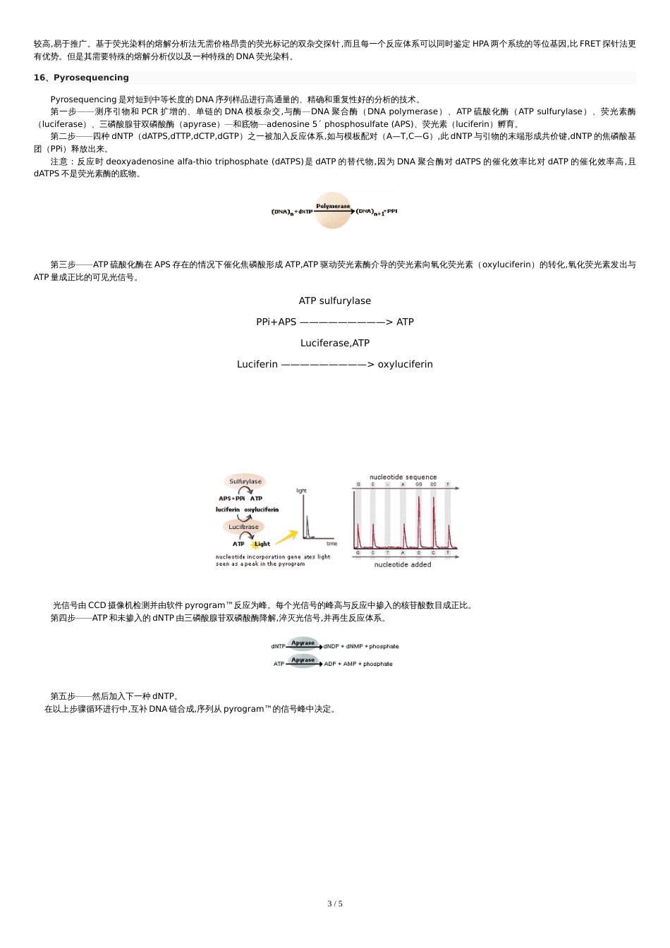 各突变检测方法比较[共6页]_第3页