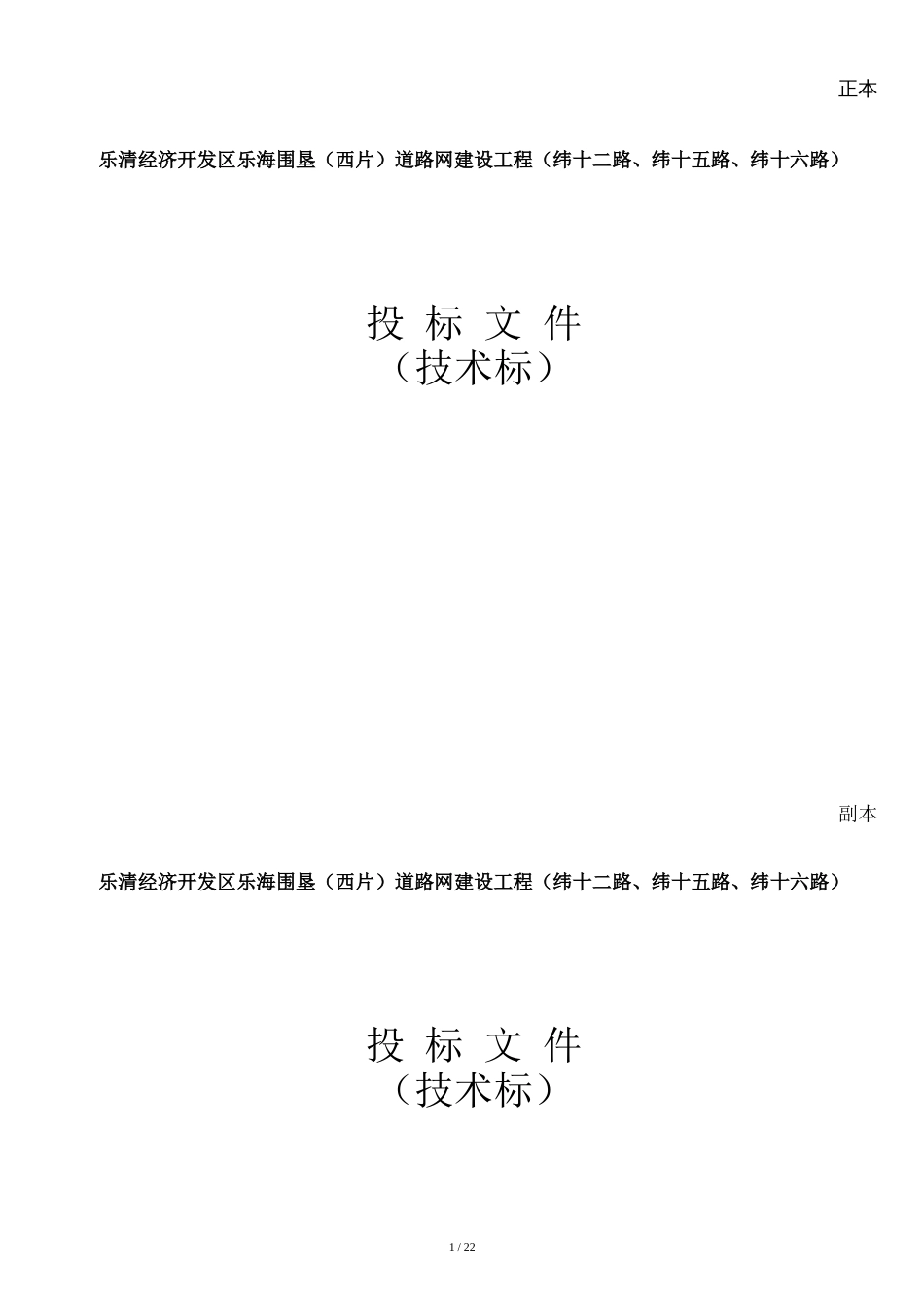 乐清经济开发区乐海围垦道路网建设工程技术标_第1页