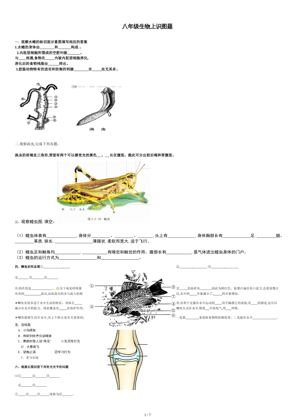 八年级生物上填图题(识图题)专题复习[共6页]_第1页