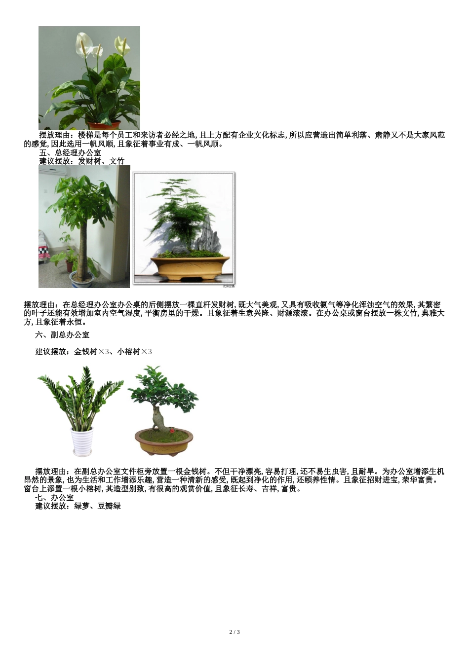 办公室绿植配置方案_第2页