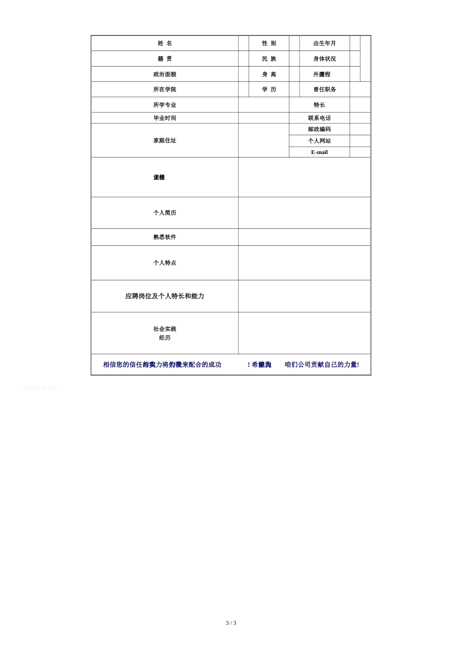 个人简历表格(通用版)[共4页]_第3页