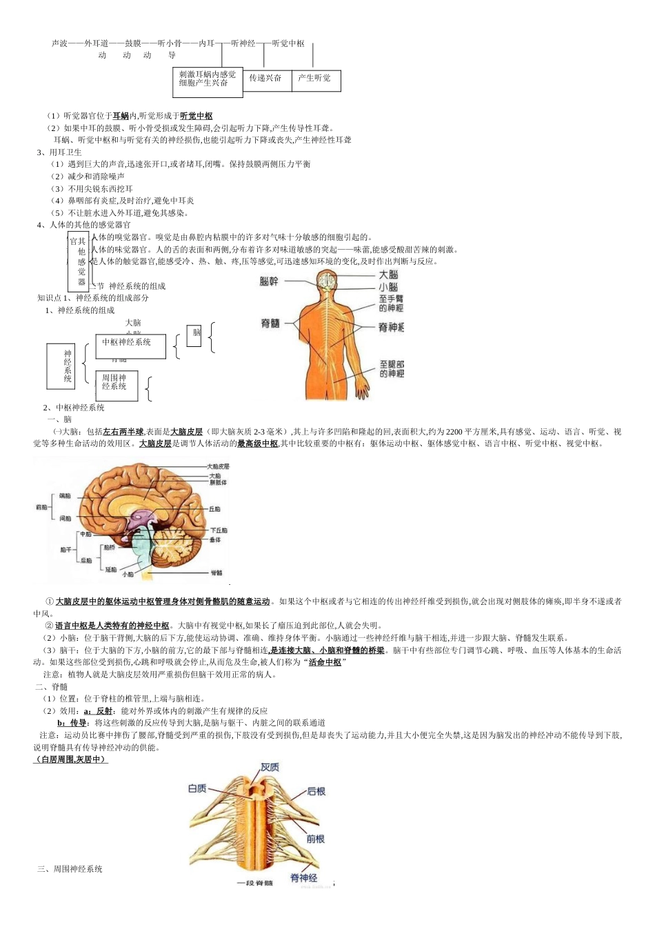 人体生命活动的调节知识点提纲[共6页]_第2页