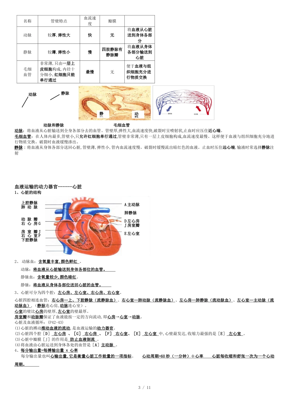 北师大版生物七年级下册知识点总结期末复习资料[共15页]_第3页