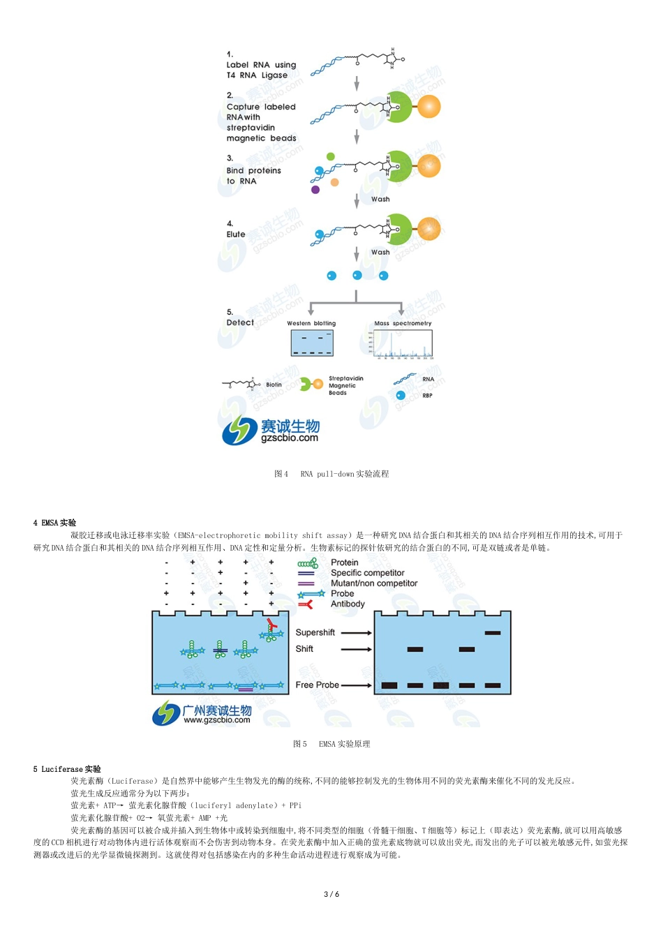 ChIP、RIP、RNA-pull-down、EMSA、Luciferase原理[共6页]_第3页