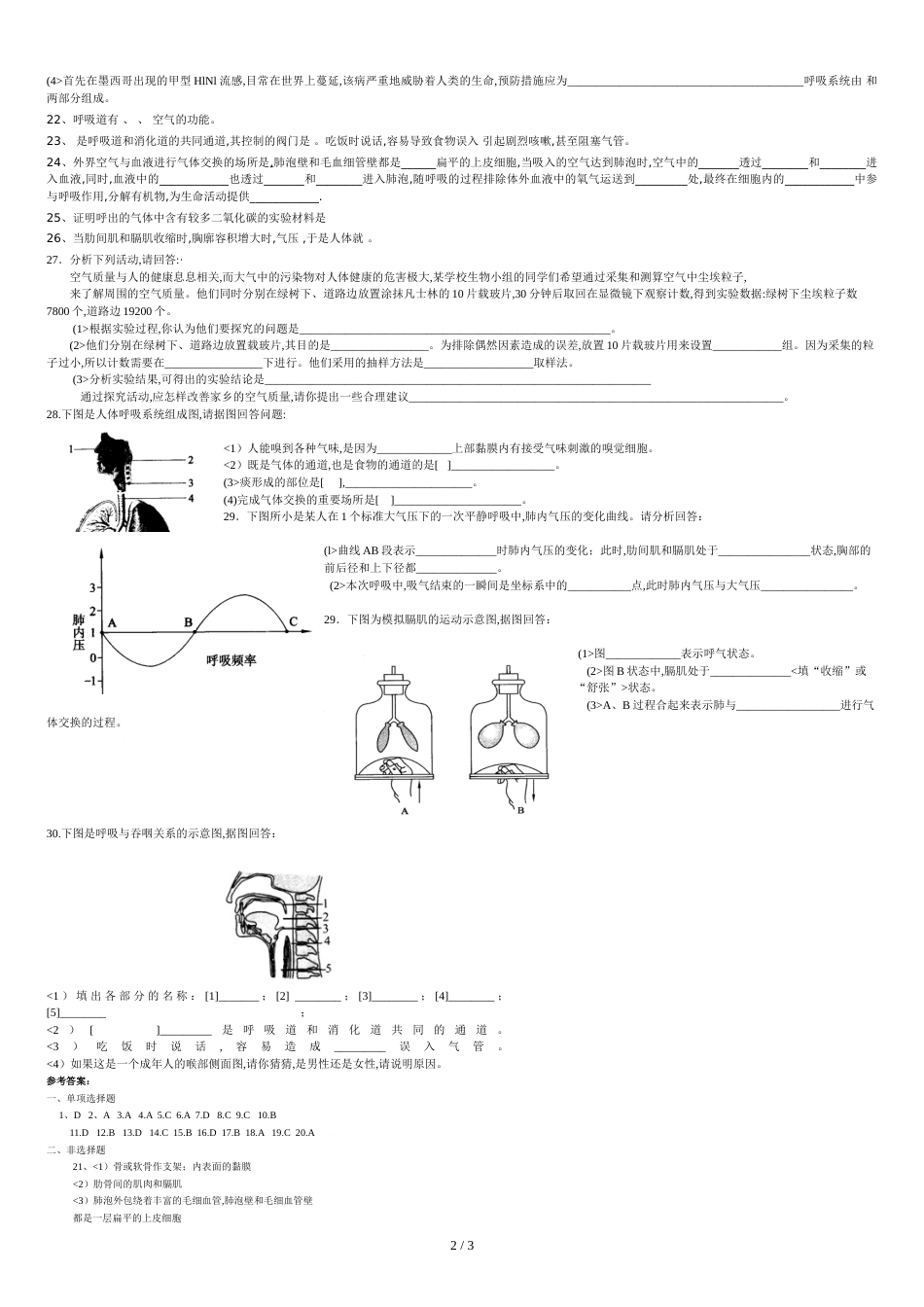 《人体的呼吸》单元测试题[共3页]_第2页