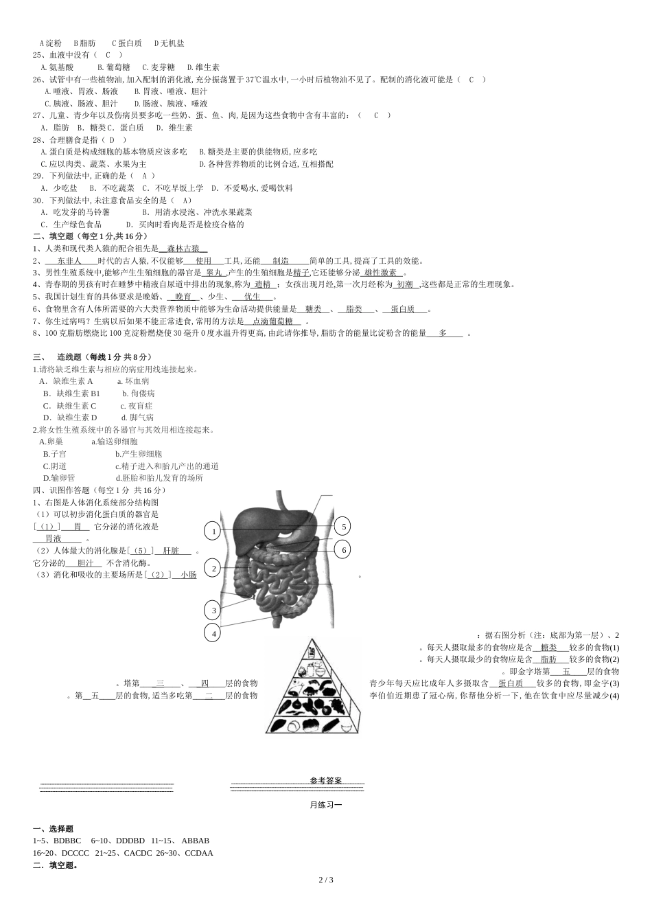 七年级生物下册单元测试题(-第一、二章)(含答案)[共3页]_第2页