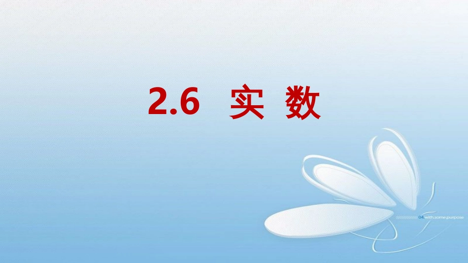 2.6实数[共23页]_第1页