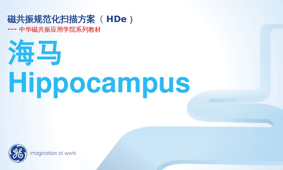 07.HDe8.海马规范化扫描方案_第1页