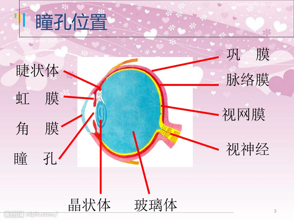 10.神经外科护理小讲课_第3页