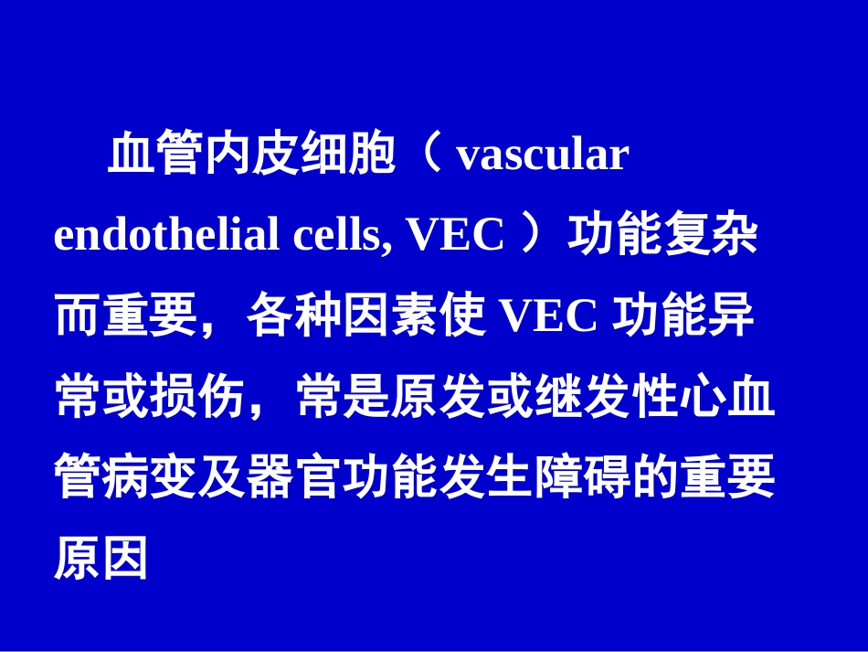 04血管内皮细胞的病理生理学0421_第3页