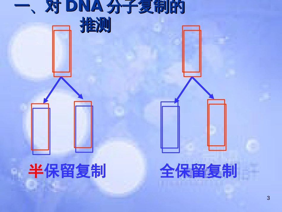 3.3 DNA的复制 2010.4[共21页]_第3页