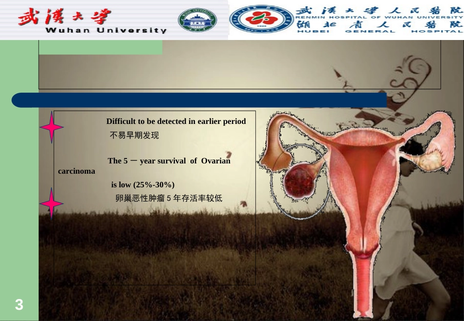 2019年Ovarian-carcinom-卵巢肿瘤.ppt[共48页]_第3页