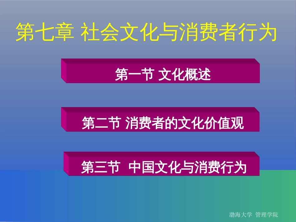 7-社会文化与消费者行为._第2页