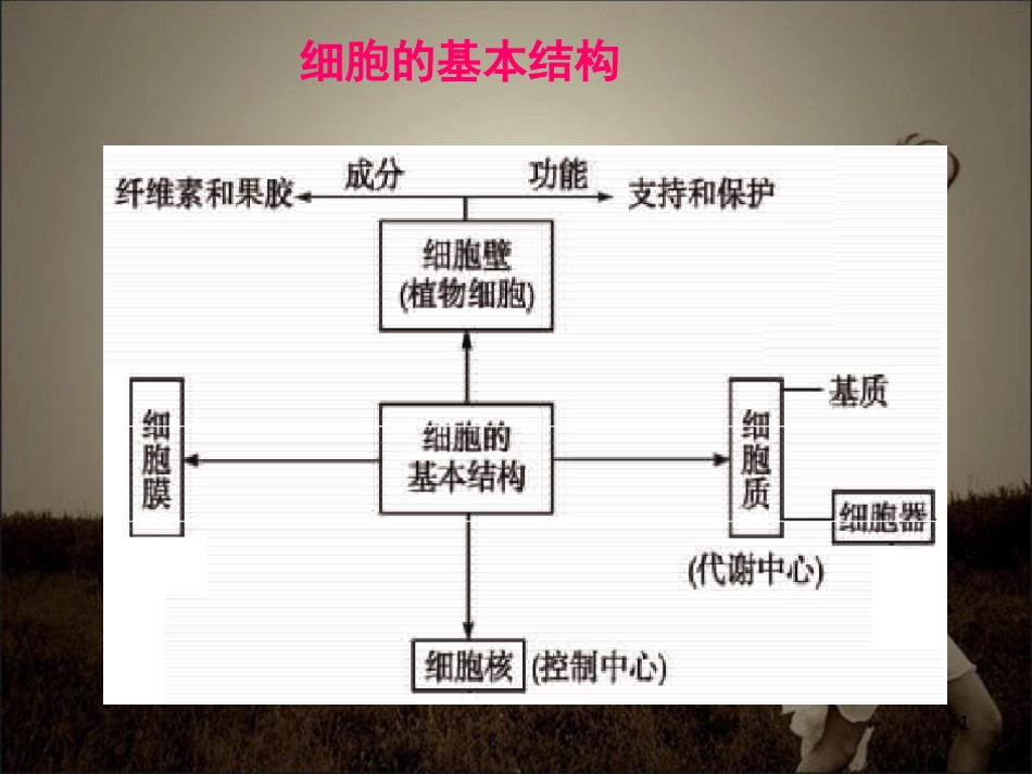 2017生物一轮复习第5讲--细胞膜和细胞核_第1页