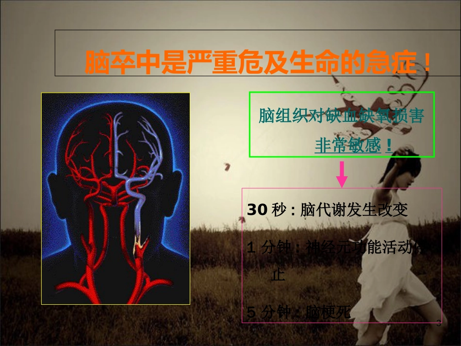 2017急性缺血性脑卒中静脉溶栓[共72页]_第3页