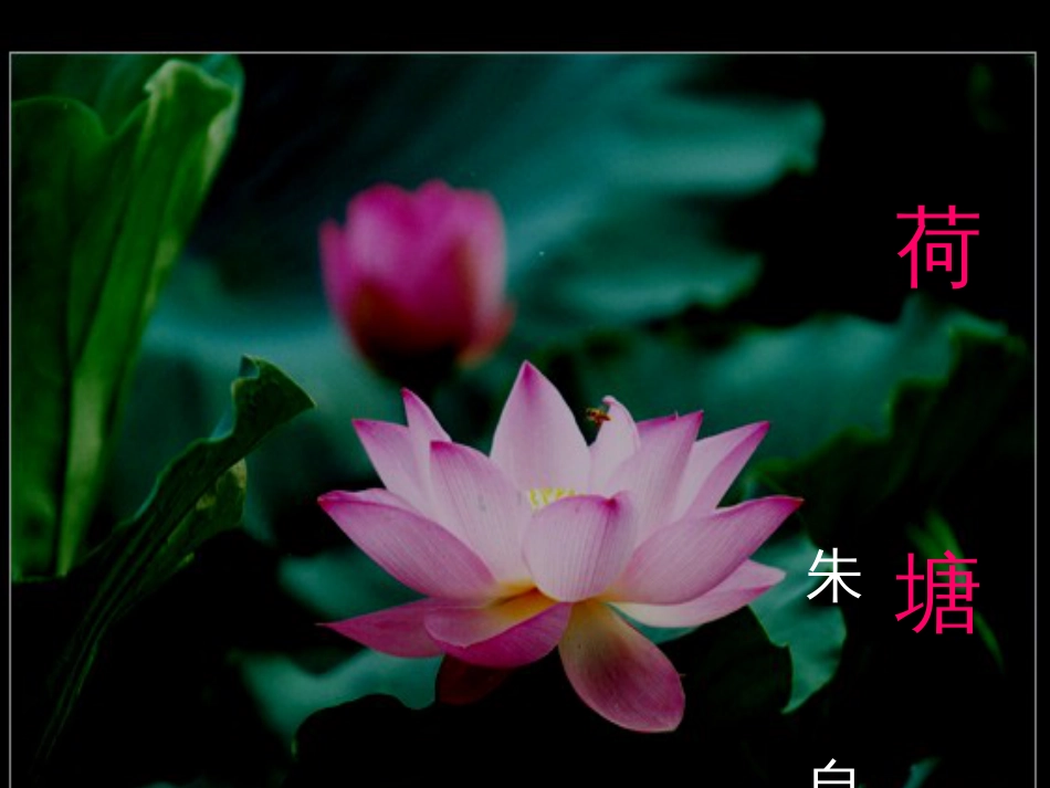《荷塘月色》优秀课件ppt[共56页]_第1页