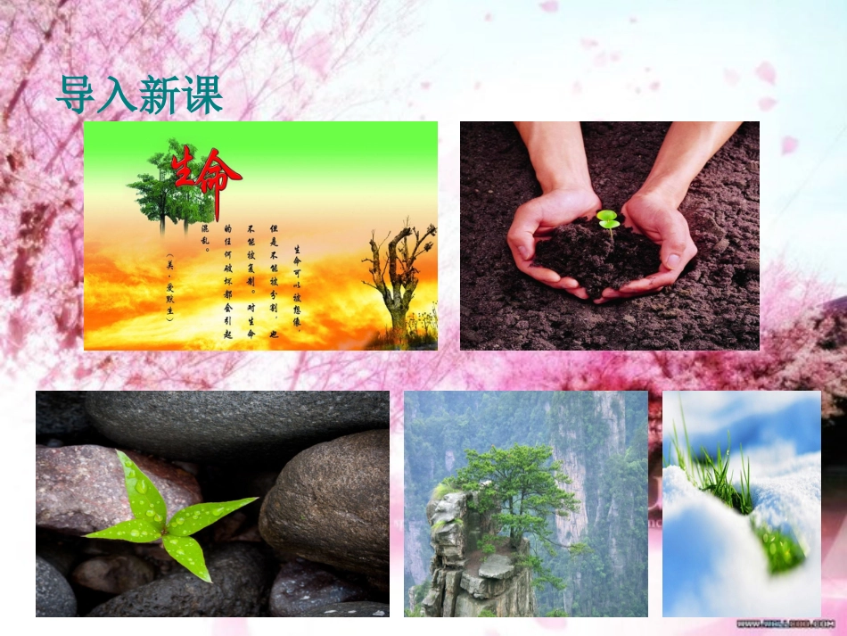 《我为什么而活着》优秀课件[共25页]_第1页