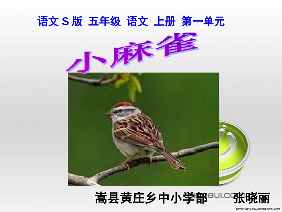 《小麻雀》课件(语文S版五年级语文上册课件)[共12页]_第2页
