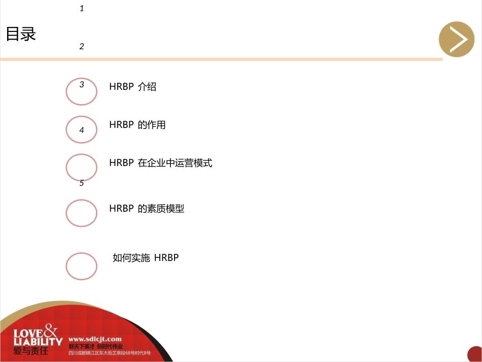 某集团HRBP方案介绍(PPT36张)_第2页