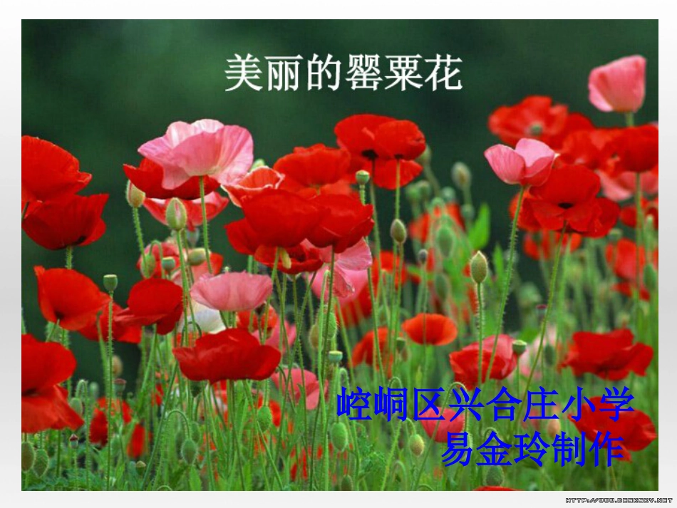 “禁毒教育”ppt[共32页]_第2页