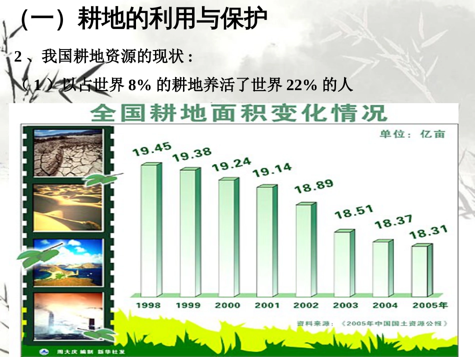 《可再生资源的利用与保护》课件ppt[共21页]_第3页