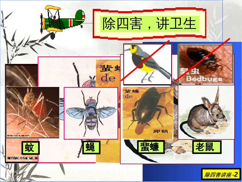 “除四害讲卫生”讲座ppt[共70页]_第2页