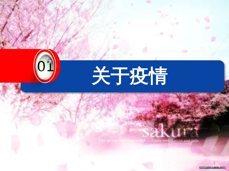 《停课不停学-自律不打烊》主题班会课[共29页]_第3页