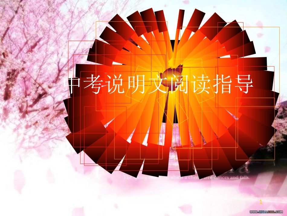 《中考复习中考说明文阅读指导》ppt课件[共22页]_第1页