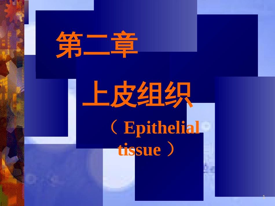 B上皮组织[共53页]_第1页