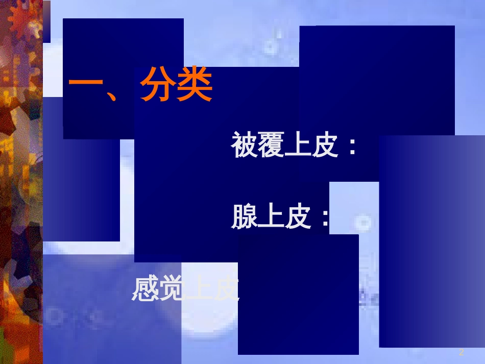 B上皮组织[共53页]_第2页