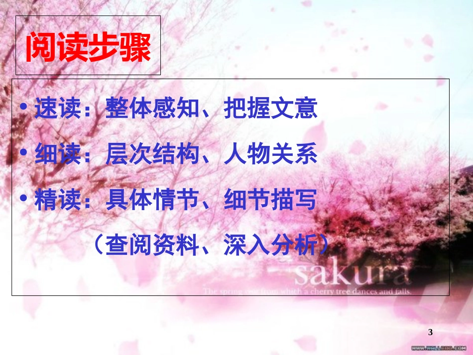 《祝福》ppt[共73页]_第3页