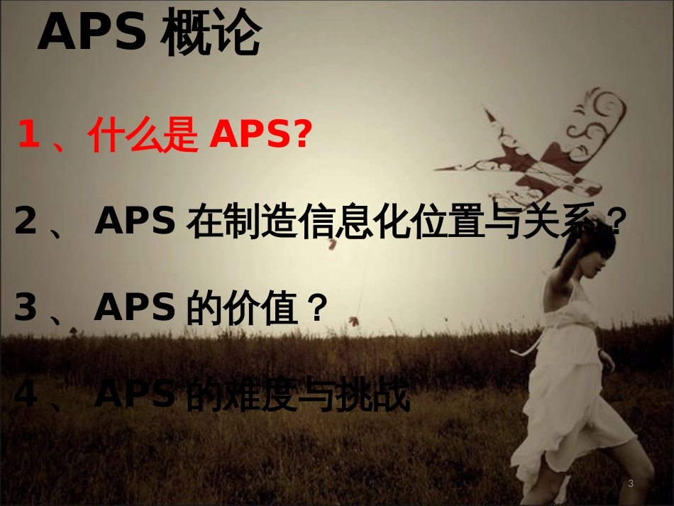 APS高级计划与排程[共90页]_第3页