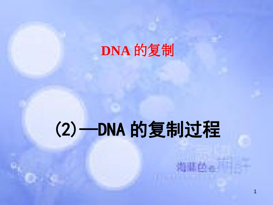 DNA的复制——过程[共19页]_第1页