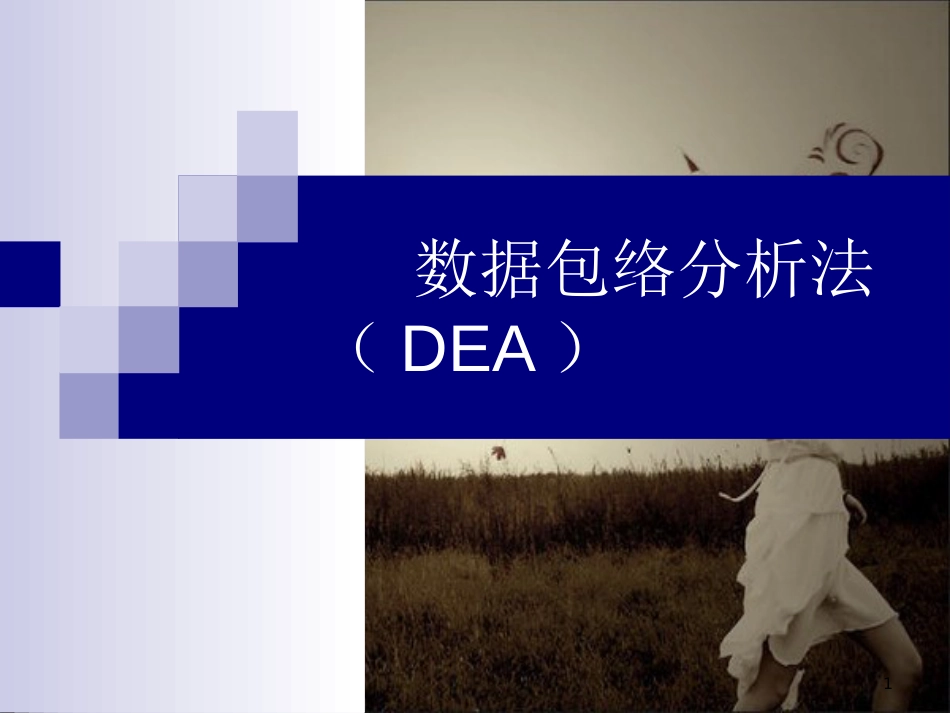 DEA数据包络分析教程[共34页]_第1页