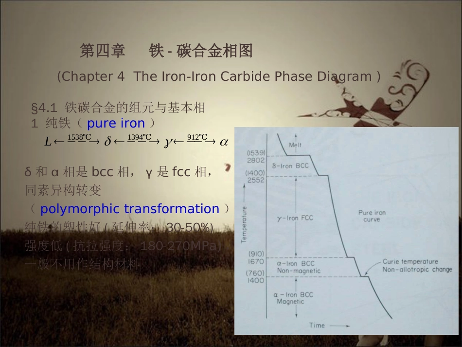 Fe-C合金相图详解_第1页