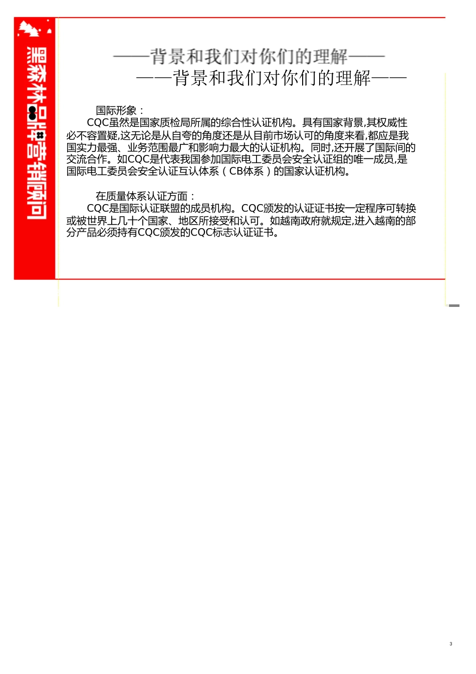 CQC项目建议书2[共28页]_第3页