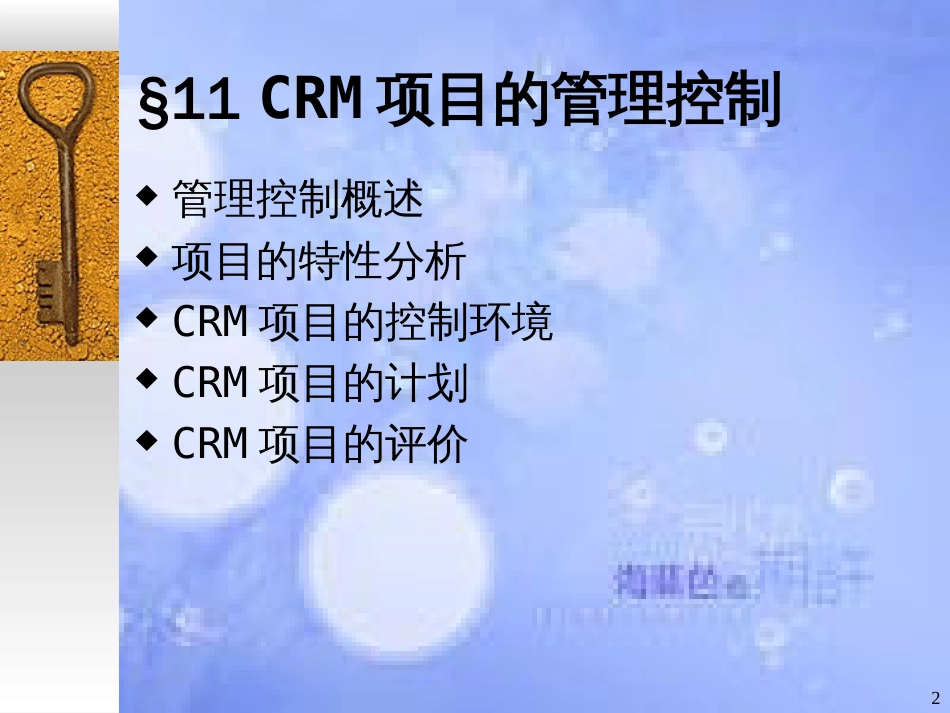 CRM项目的管理控制[共25页]_第2页