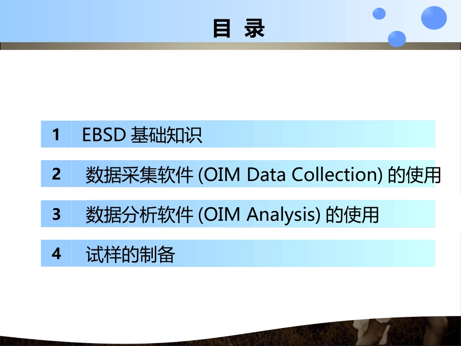 EBSD初级原理及简单应用[共54页]_第2页