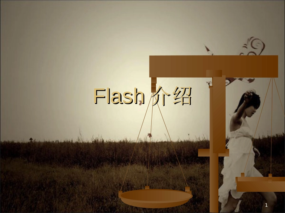 flash&固件总结&驱动[共72页]_第1页