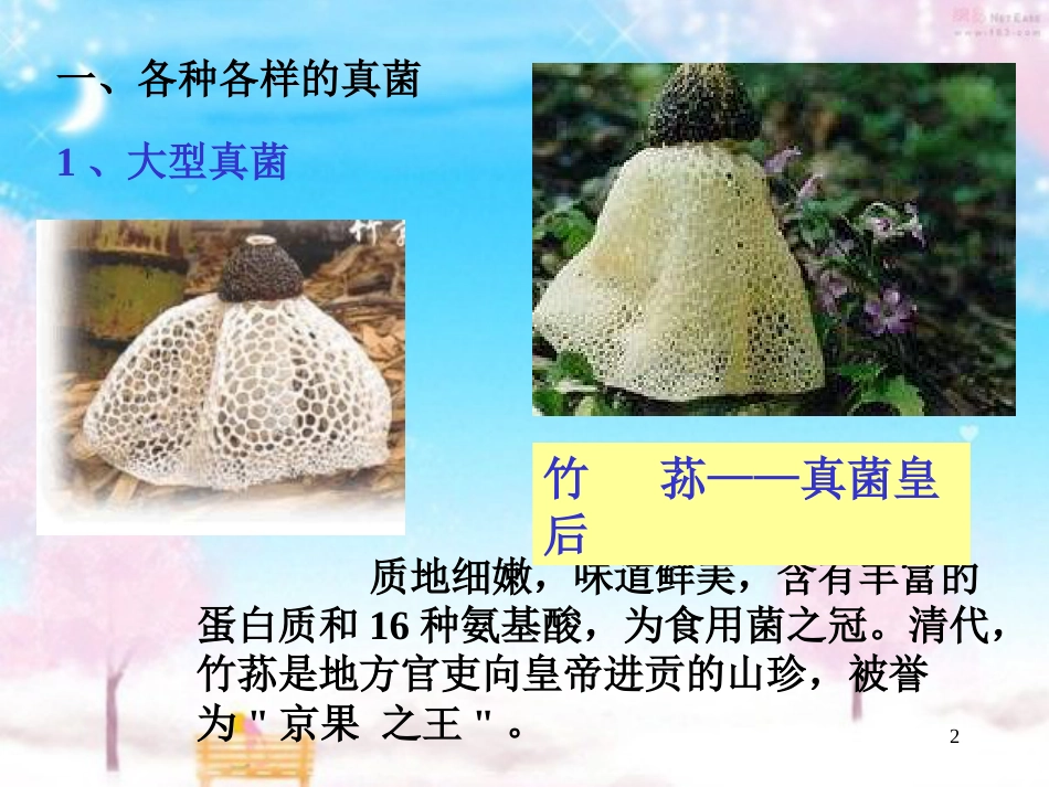 八年级生物上-第5单元第4章-第三节-真菌1-课件人教版_第2页