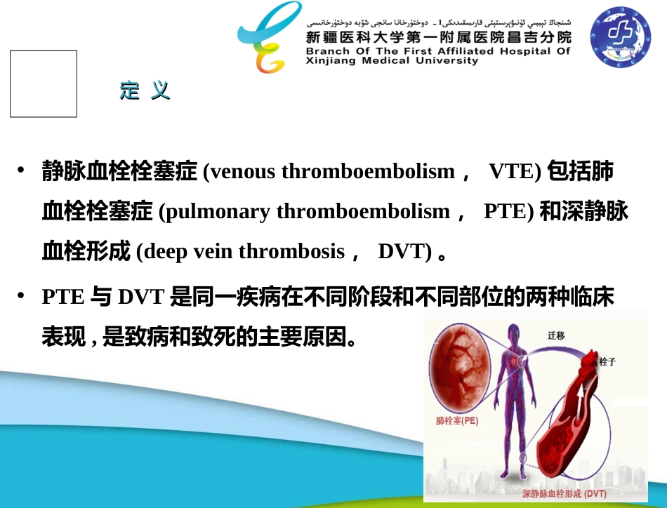 VTE预防健康教育[共41页]_第3页