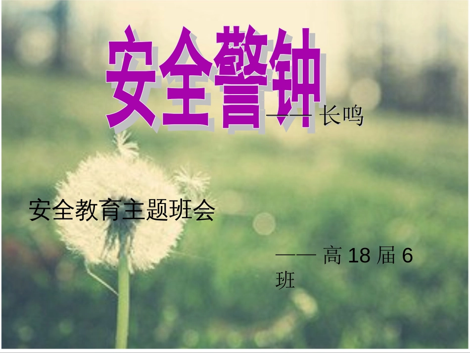 安全教育主题班会ppt[共70页]_第1页