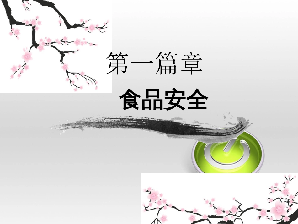 安全教育主题班会ppt[共70页]_第2页