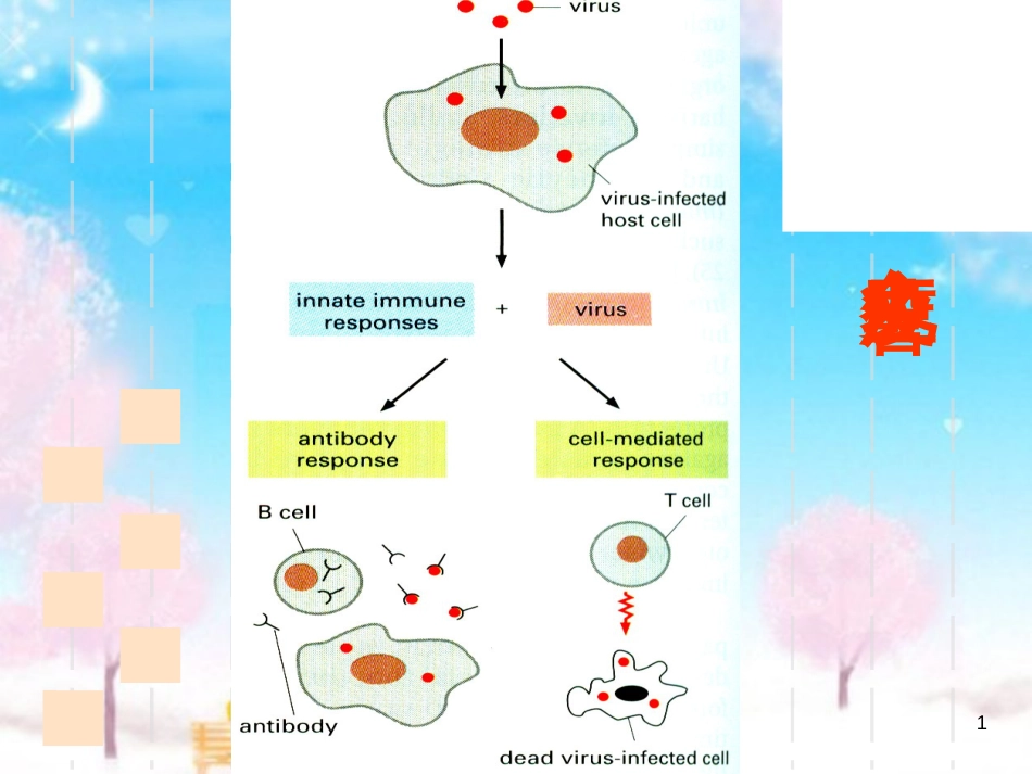 T细胞免疫应答[共83页]_第1页