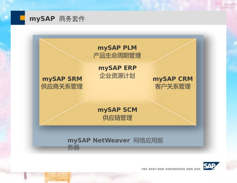 SAP-SCM-项目总览[共34页]_第2页